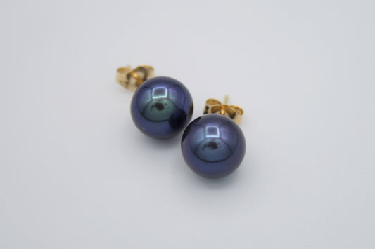 Black Freshwater Pearl Studs