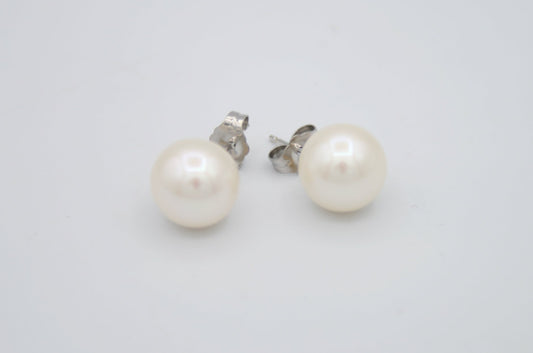 Freshwater Pearl Studs in White Gold